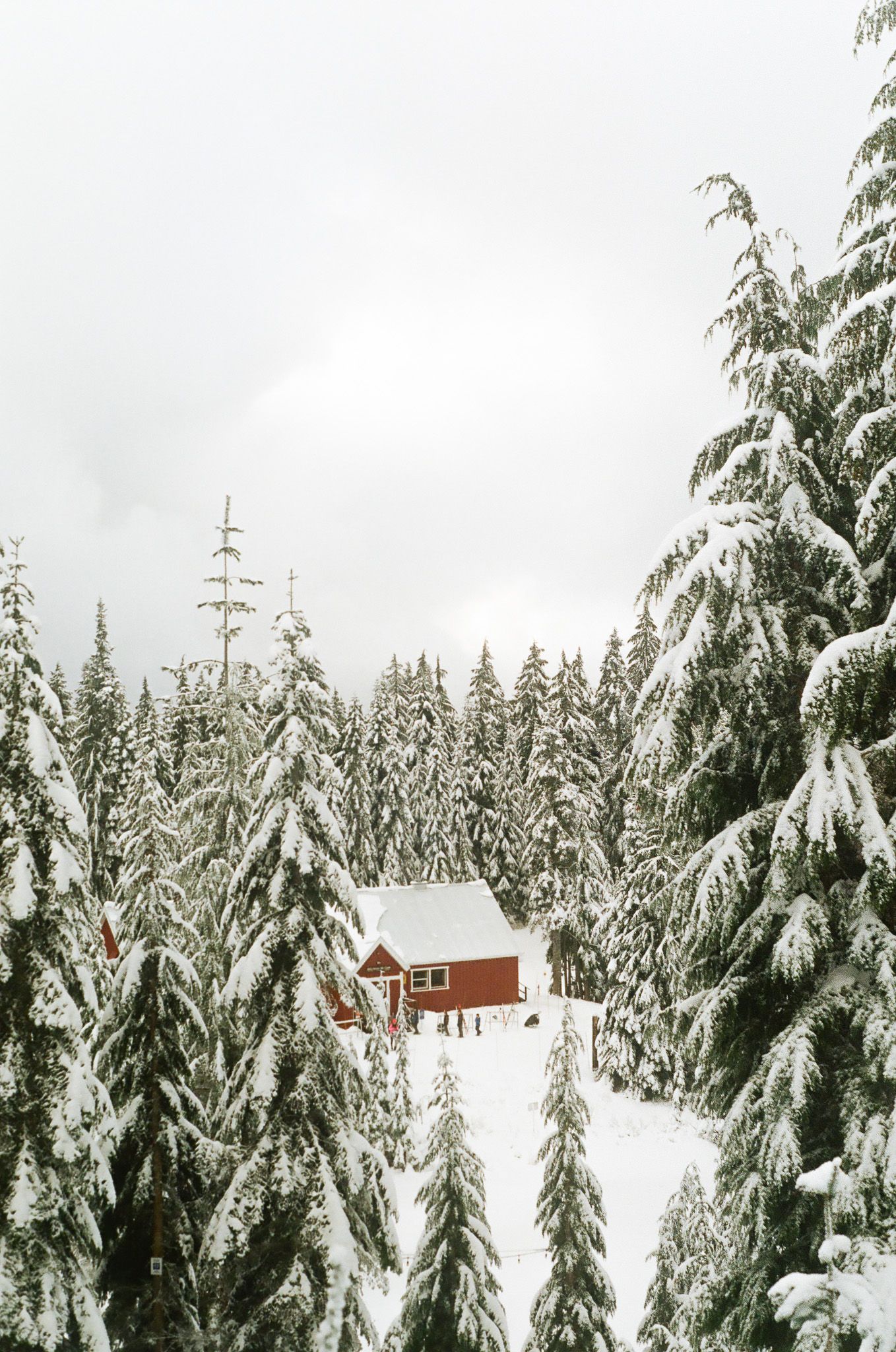 Snow-covered evergreen trees surround red cabins in a winter mountain landscape.