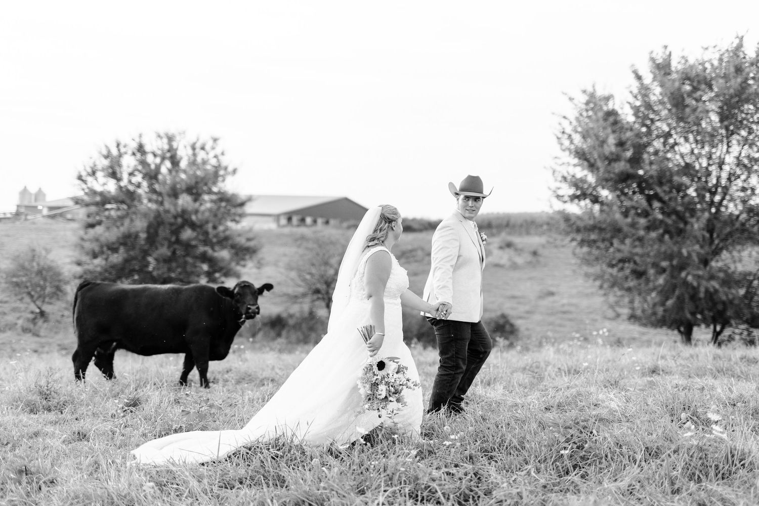 Black and white wedding photo of bride and groom holding hands in a field with their cow and barn in the background.