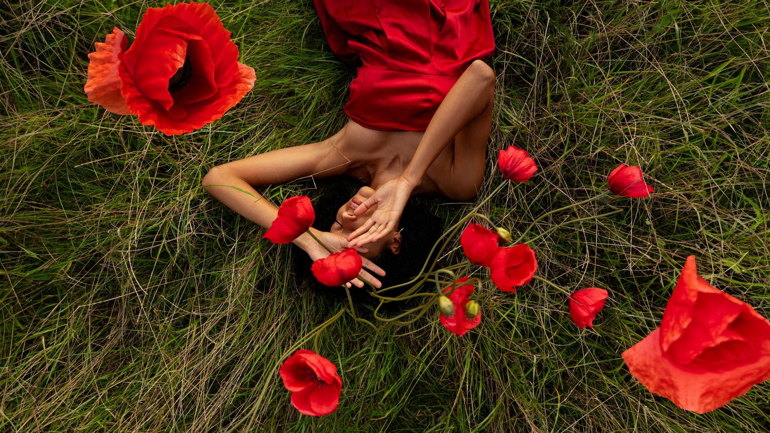 Person's hands resting near vibrant red poppies in tall grass during golden hour.