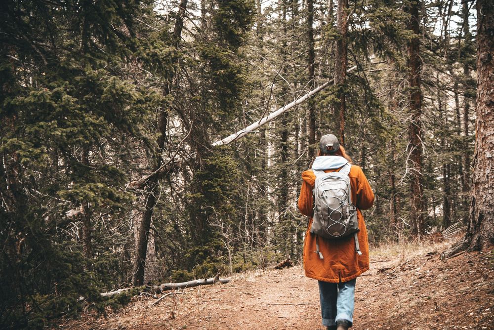 Person wearing orange coat and backpack hiking along a winding forest path.
