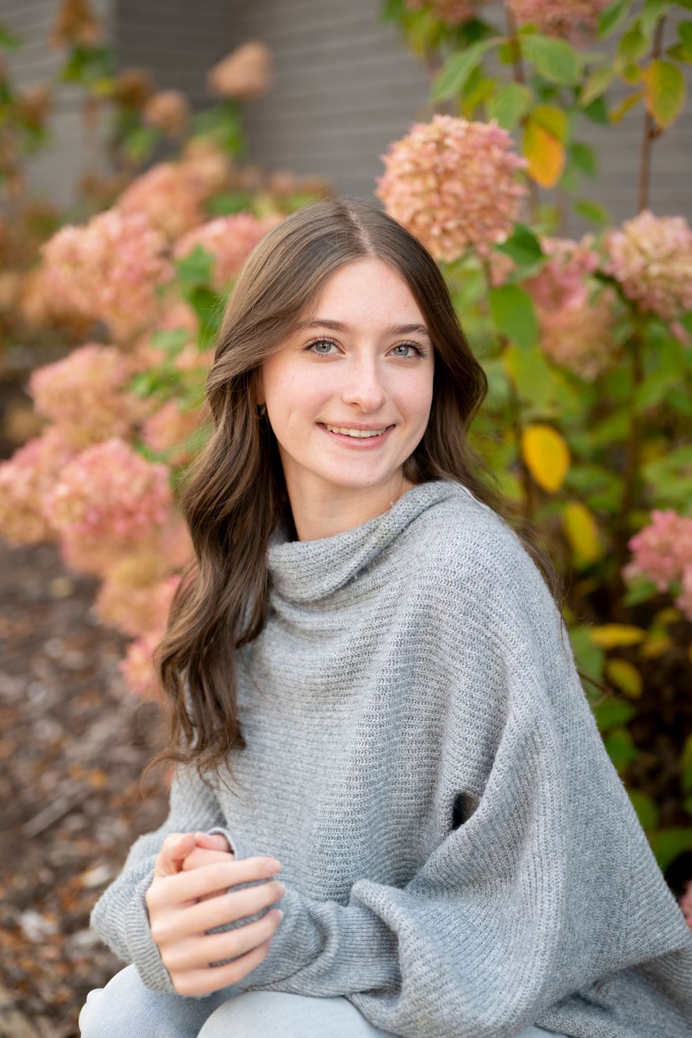 Fall portrait with cozy gray sweater against pink hydrangea bushes.