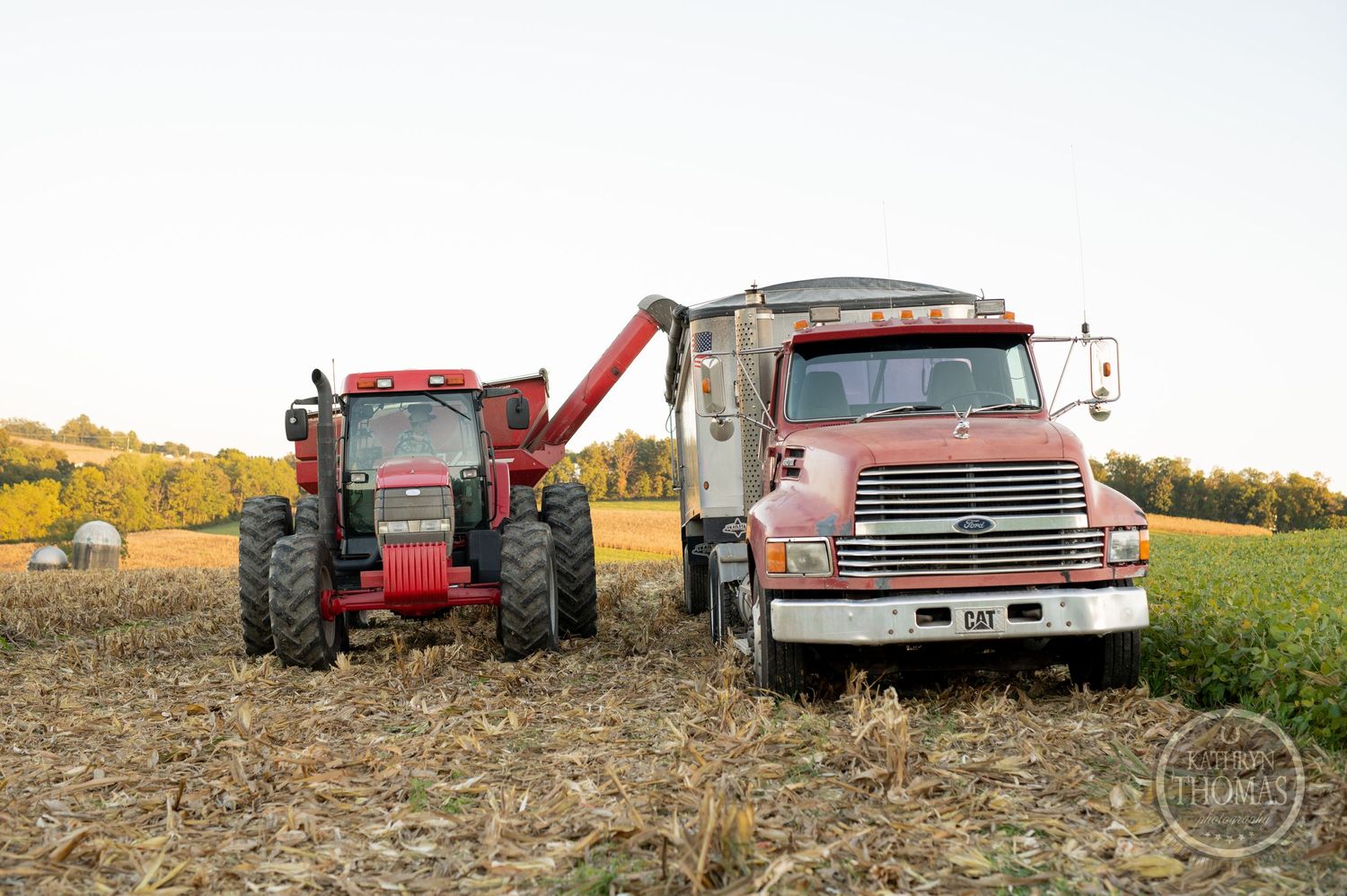 Red tractor loading grain into a truck in a harvested field.