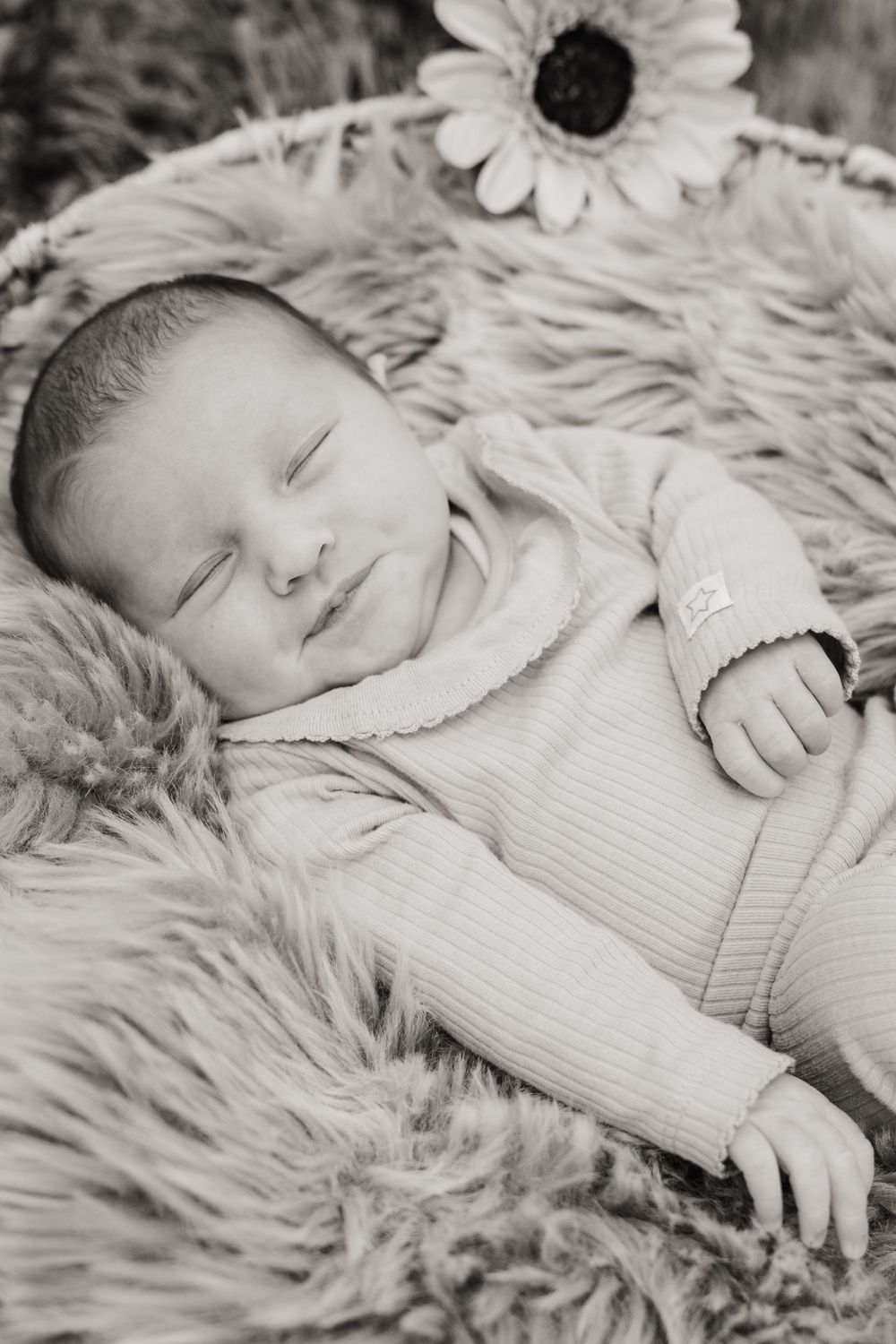 Black and white photo of sleeping baby lying on soft fur with white daisy flower placed above their head.