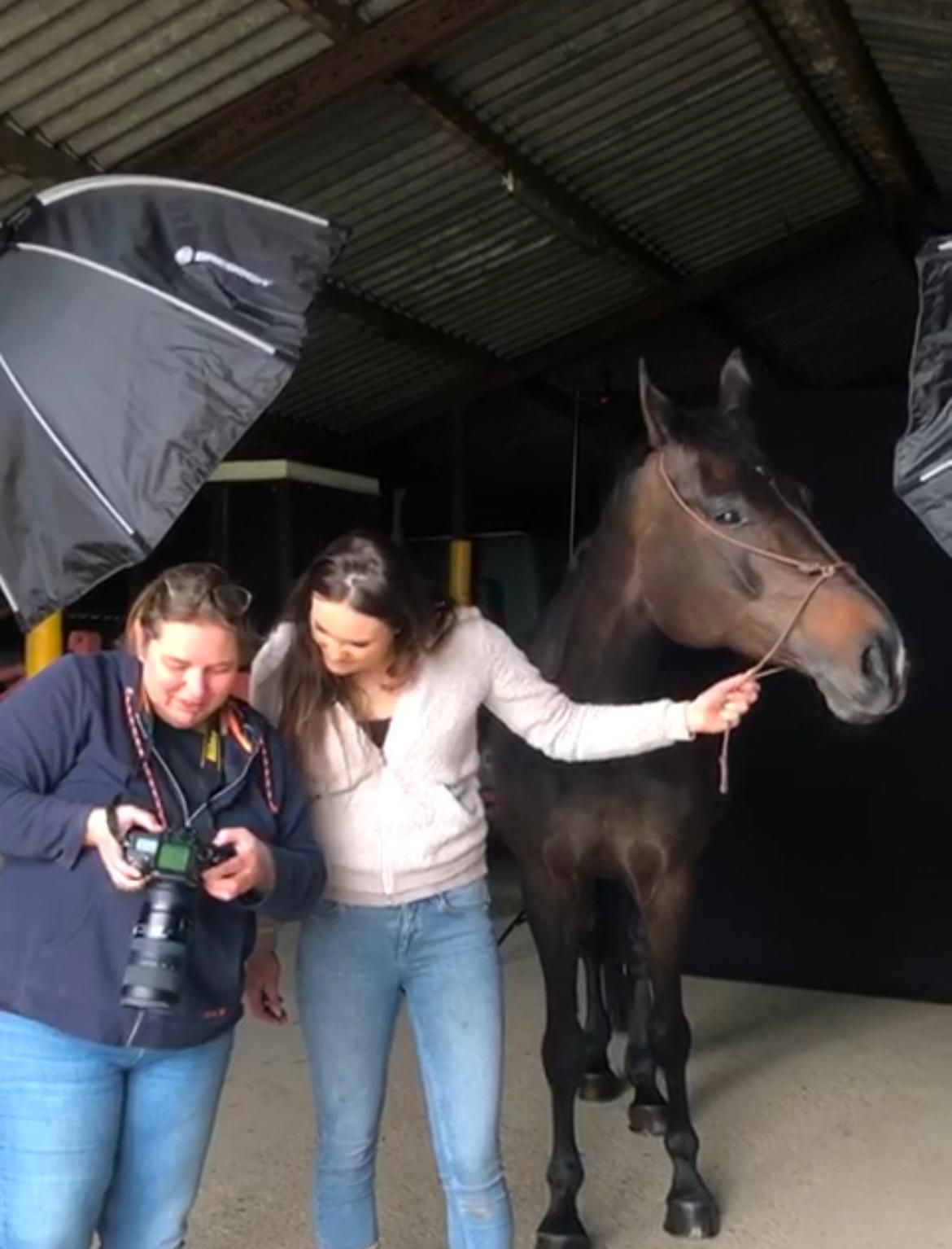 Paardenfotograaf uit Nederland biedt prachtige Equine Fine Art fotografie