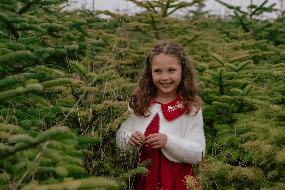 A young person in a red dress and white sweater stands among evergreen trees at a Christmas tree farm.