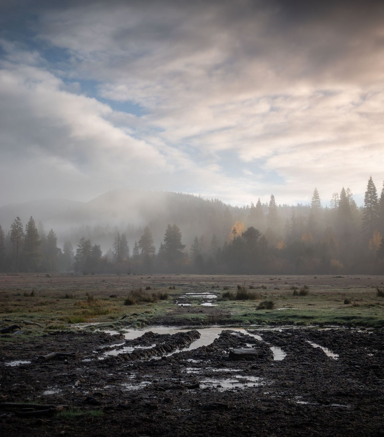Moody mountain landscape with fog rolling over evergreen forest and muddy ground.