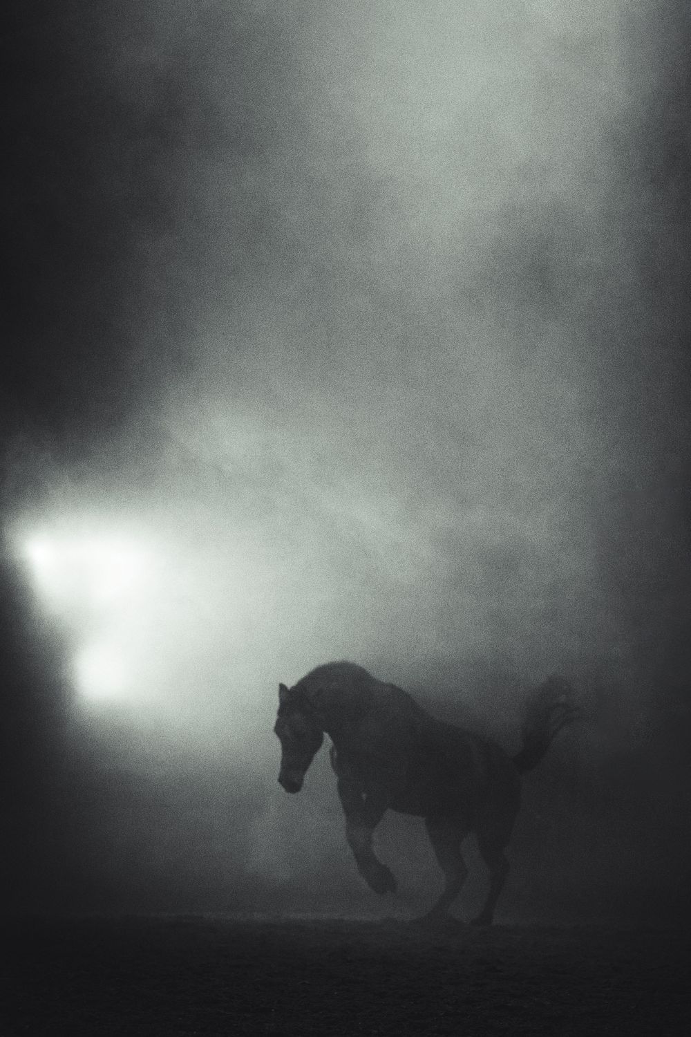 Silhouette of a horse in misty atmospheric conditions creating a moody artistic photograph.