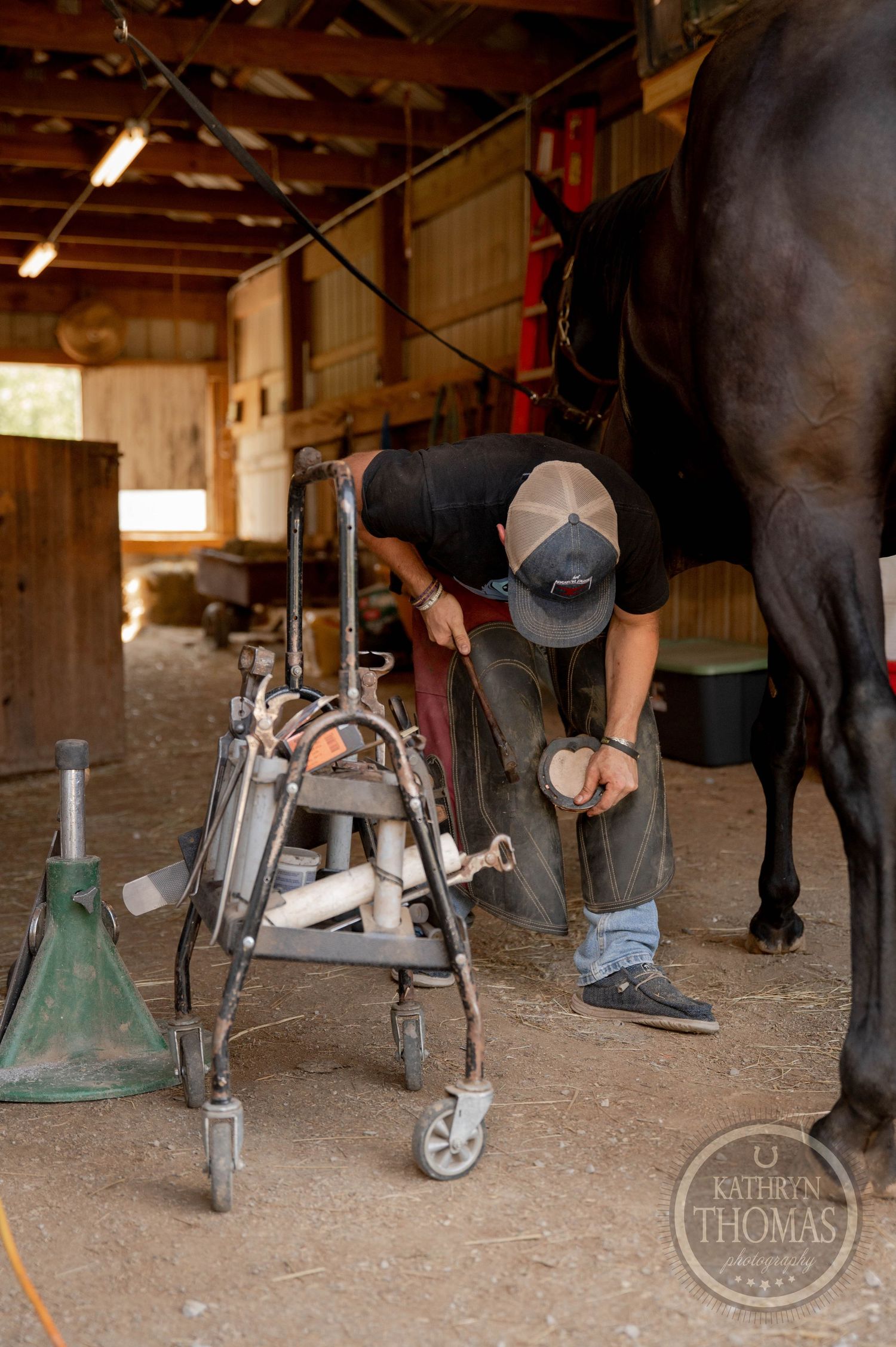 Horse hoof maintenance being performed with specialized tools in barn.