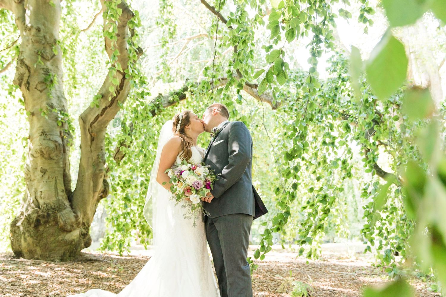 A romantic wedding moment captured under a beautiful weeping willow tree on a sunny day.