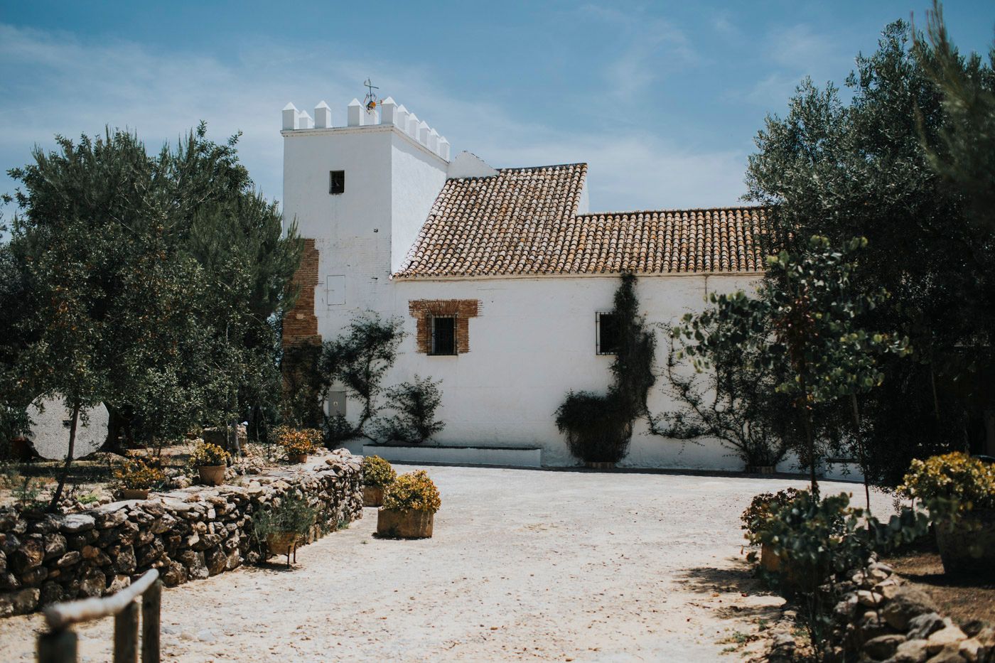 A white Mediterranean villa with terracotta roof tiles and stone wall surrounded by olive trees on a sunny day.