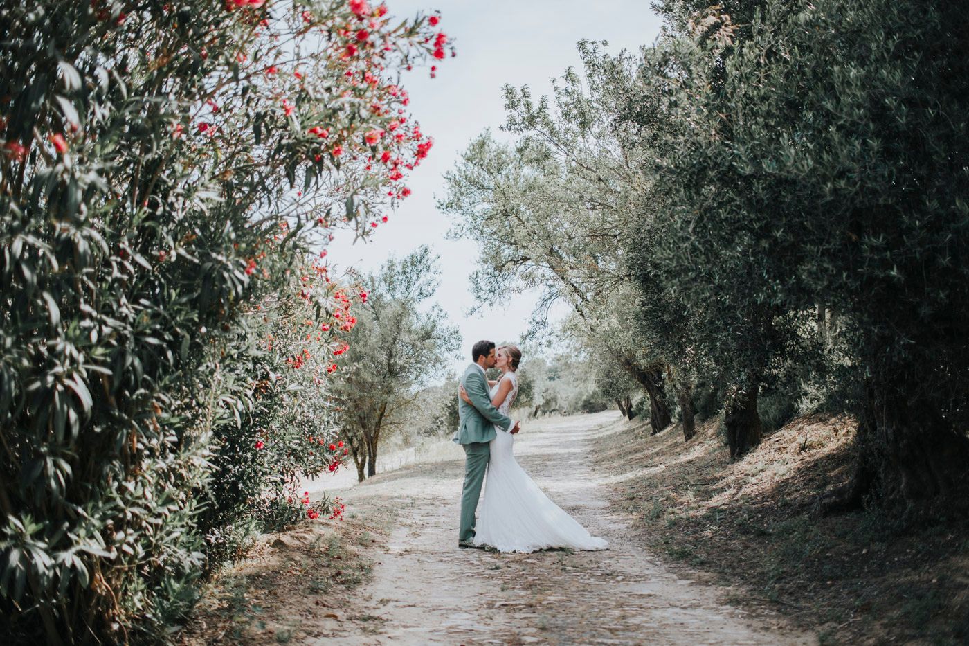 A couple embraces on a romantic path lined with olive trees and red flowering bushes in a dreamy outdoor setting.