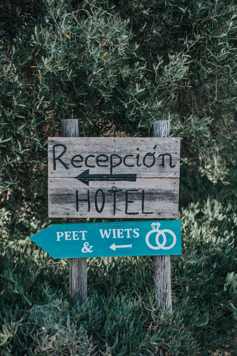 Rustic wooden hotel reception and wedding direction signs with arrows against lush green foliage background.