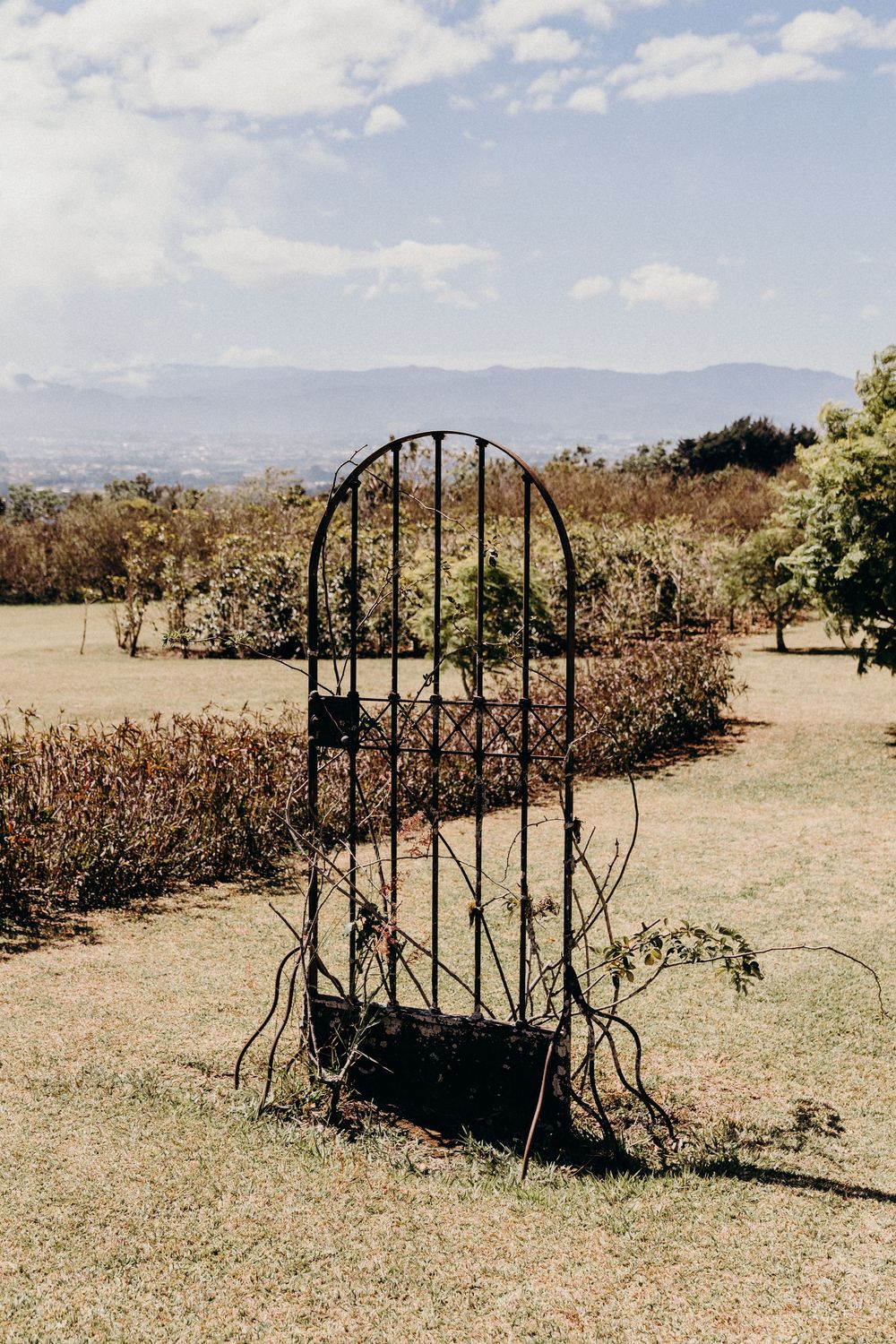 Ornate black wrought iron garden gate standing alone on green grass with shrubs and mountains in the background.