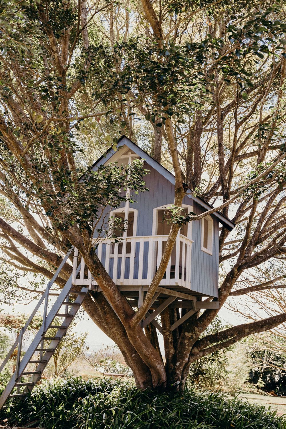 A charming blue treehouse with white railings and a ladder nestled among lush green tree branches.