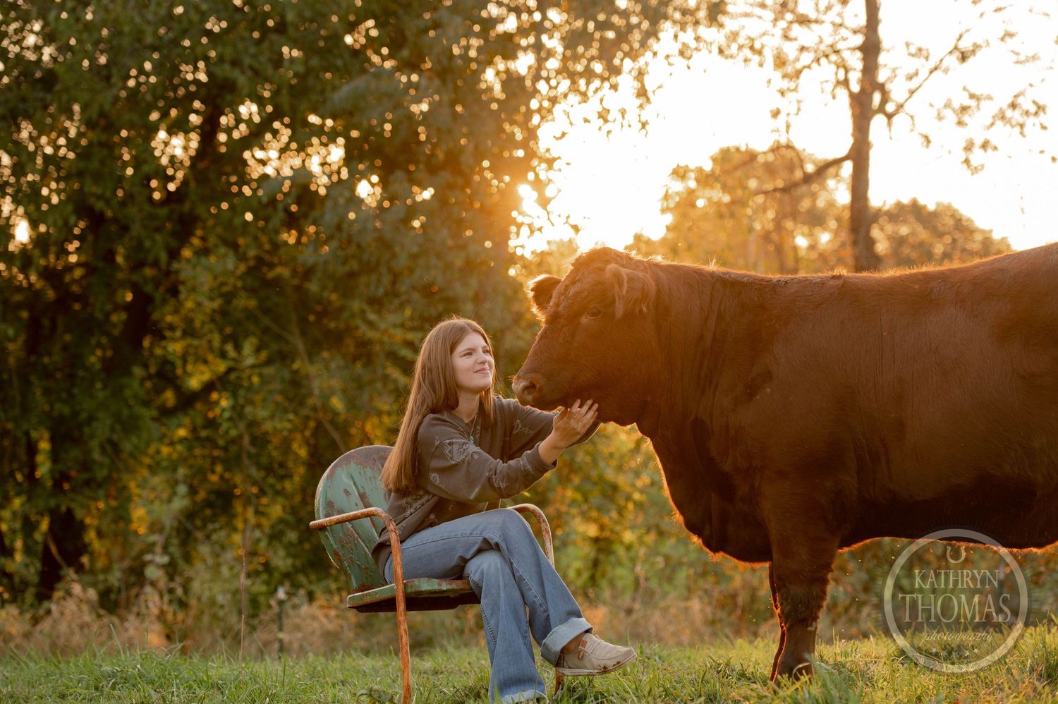 A golden hour scene shows a friendly interaction between a brown cow and someone relaxing in a chair.