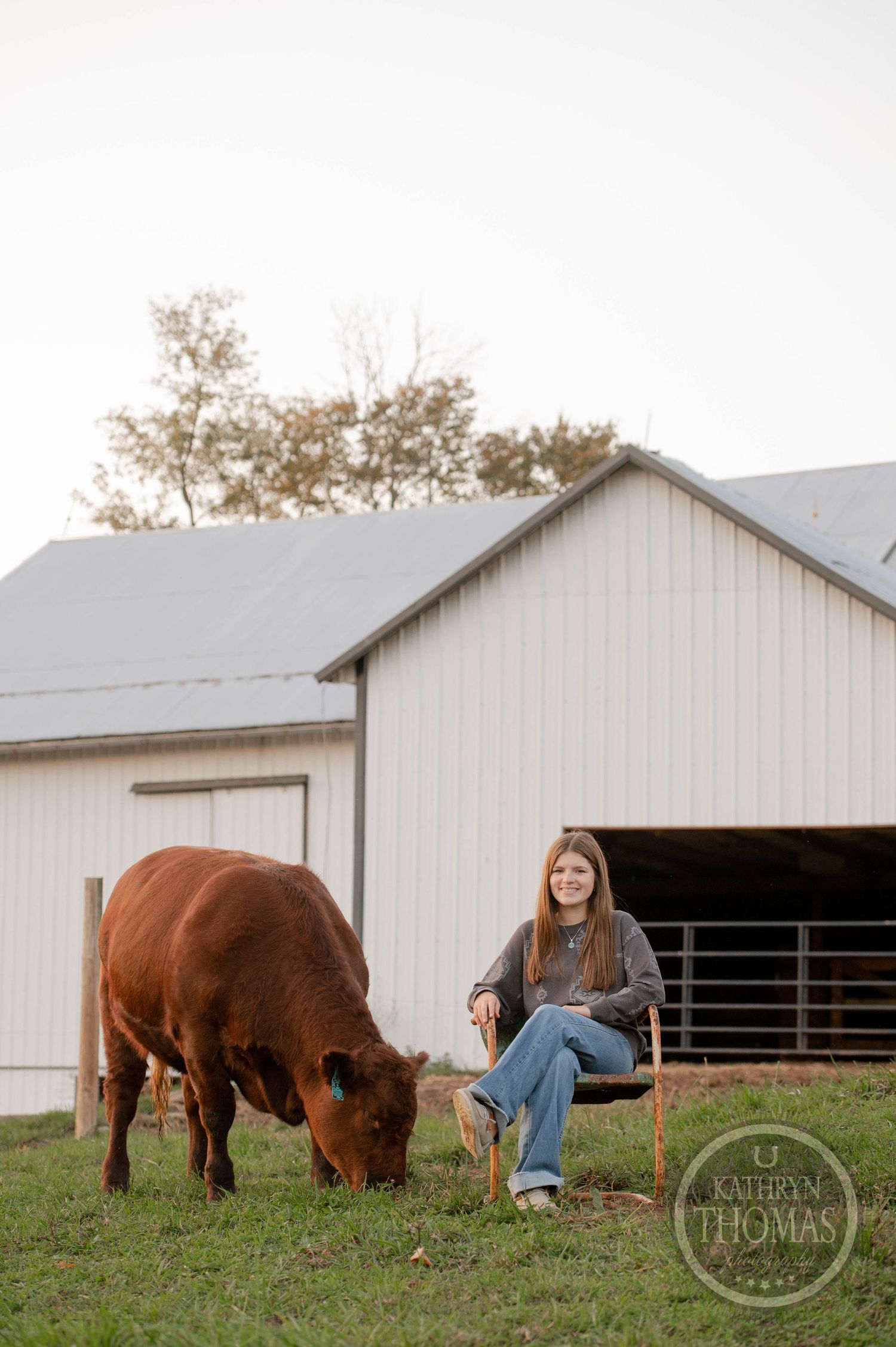 Someone sits on a chair near a barn while a brown cow grazes in the foreground.