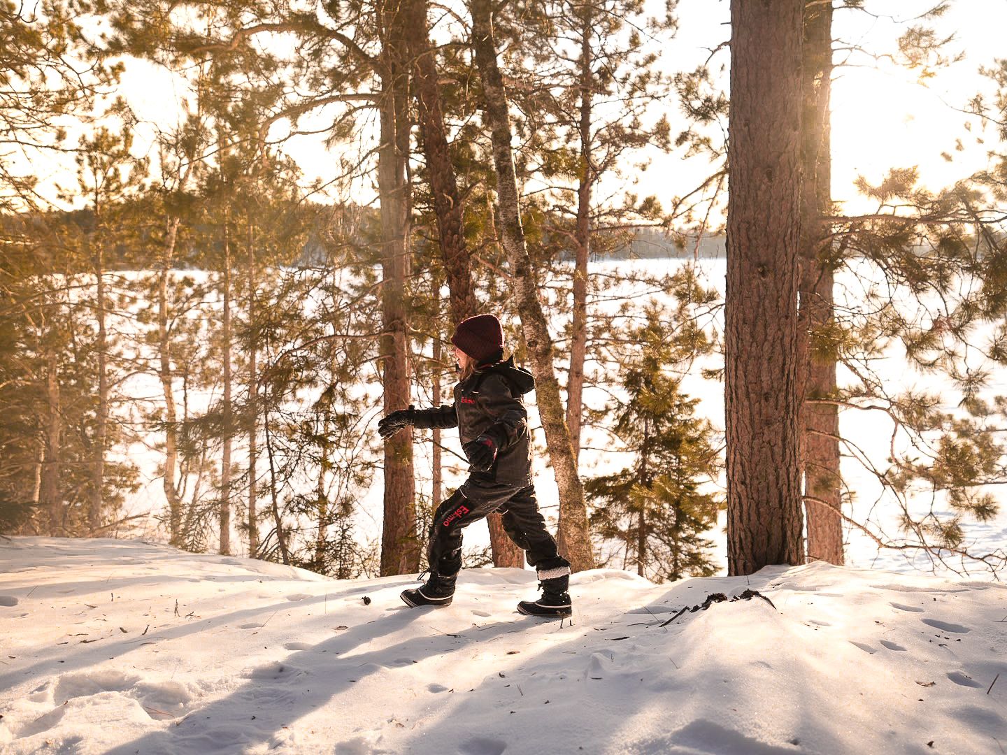 Winter sports enthusiast traversing snowy terrain between pine trees at sunset.