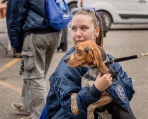 A uniformed person holding a small brown dog on a leash in a parking lot.