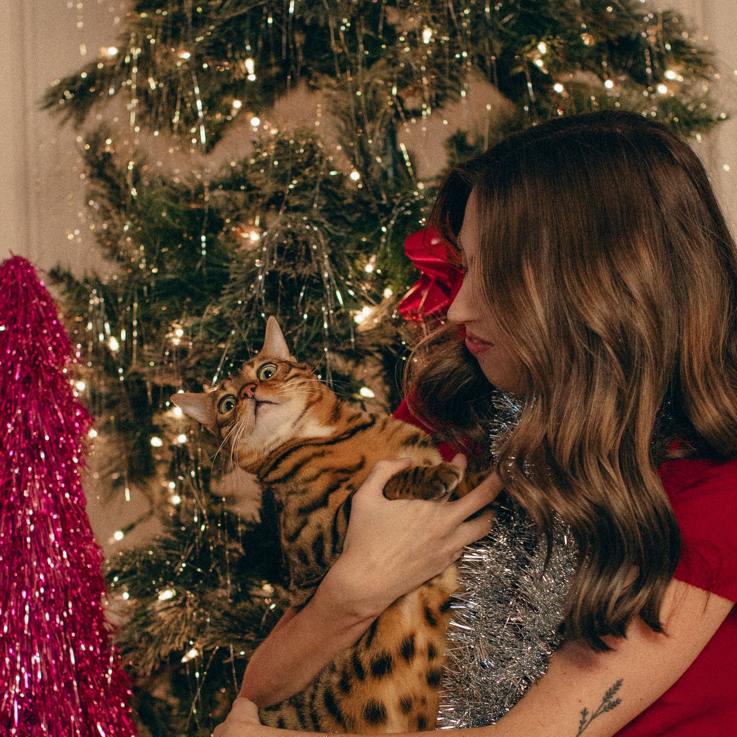 Someone in a red sweater holding a spotted Bengal cat next to a decorated Christmas tree with twinkling lights.