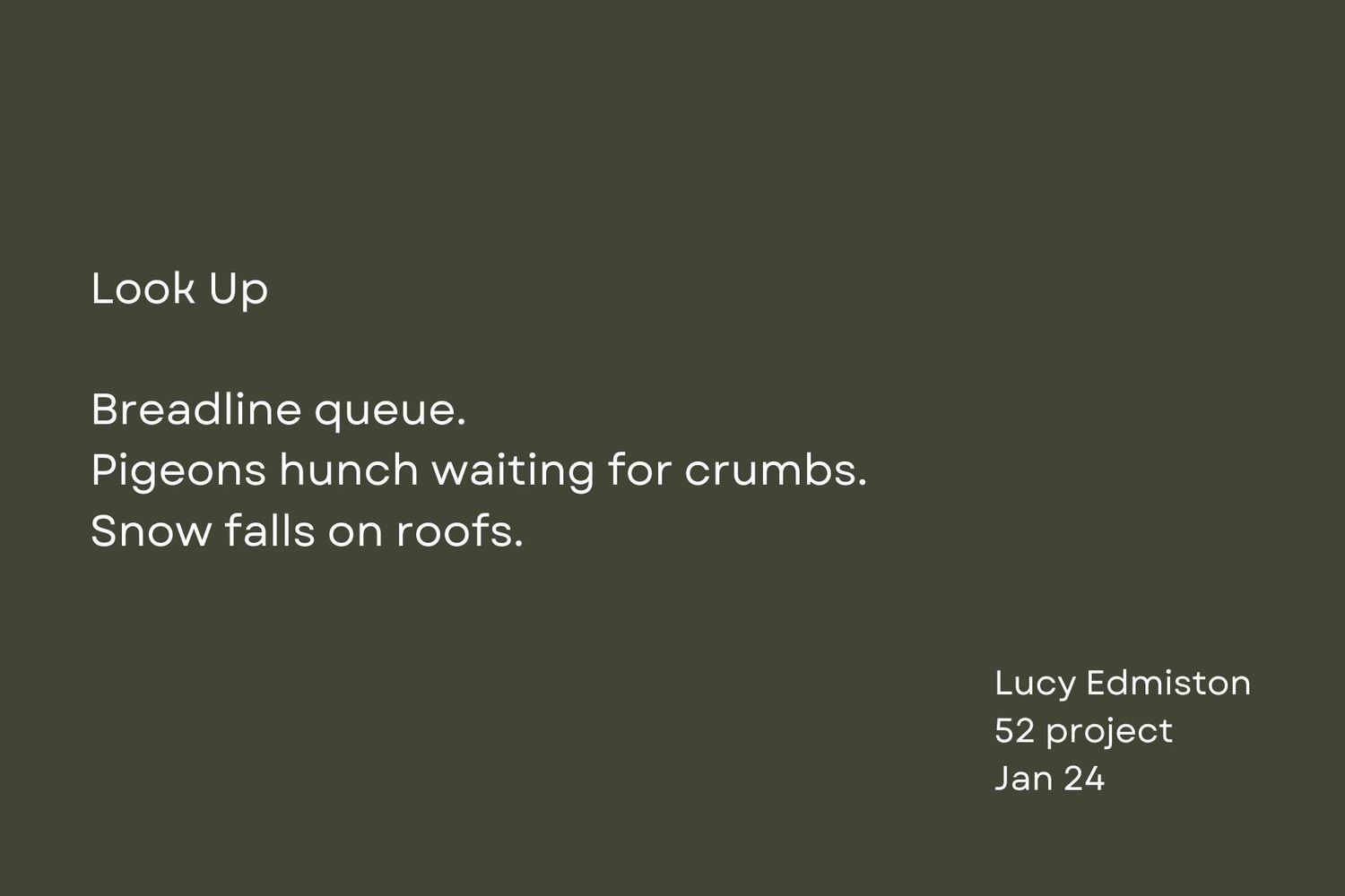 A dark green backdrop with white text displaying a haiku about pigeons awaiting food in winter.