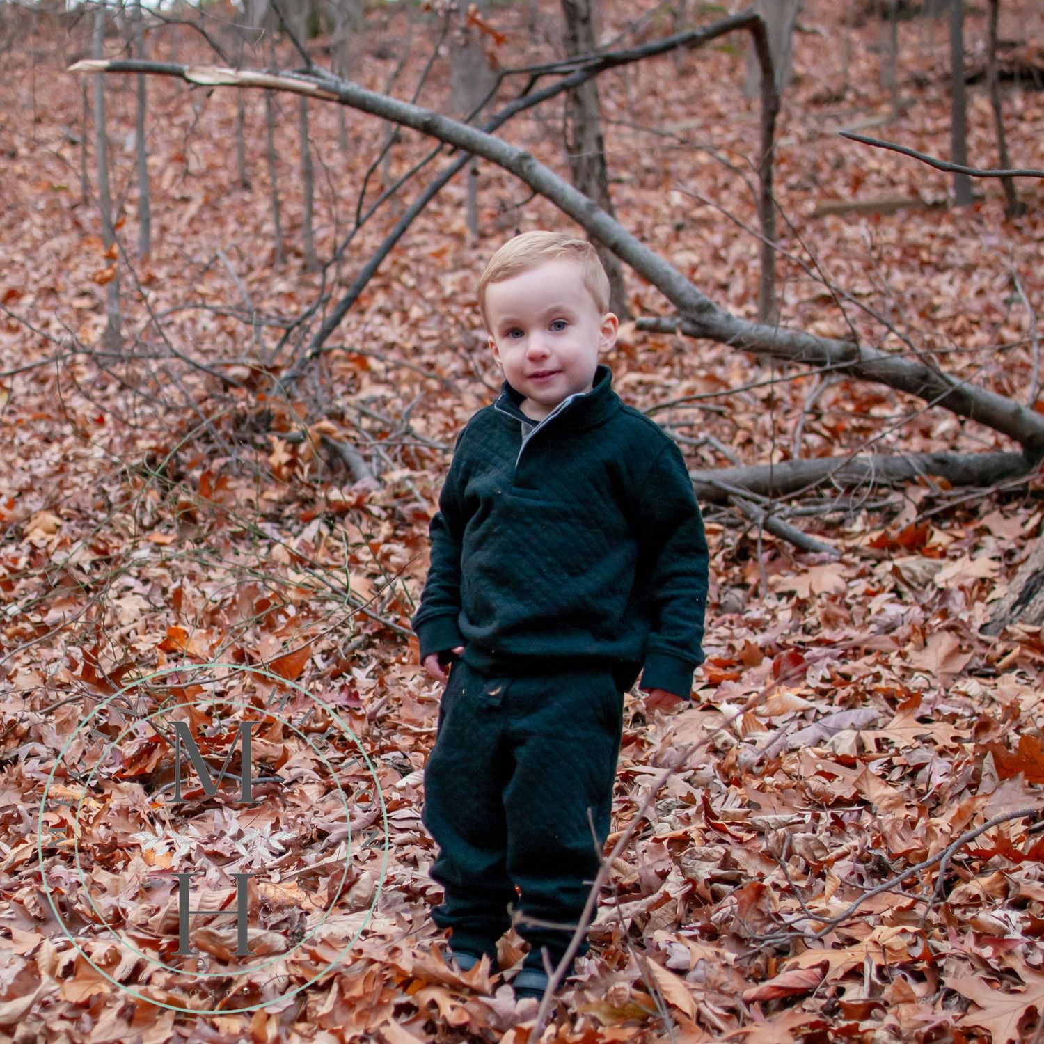 Image of two year old boy in leaves