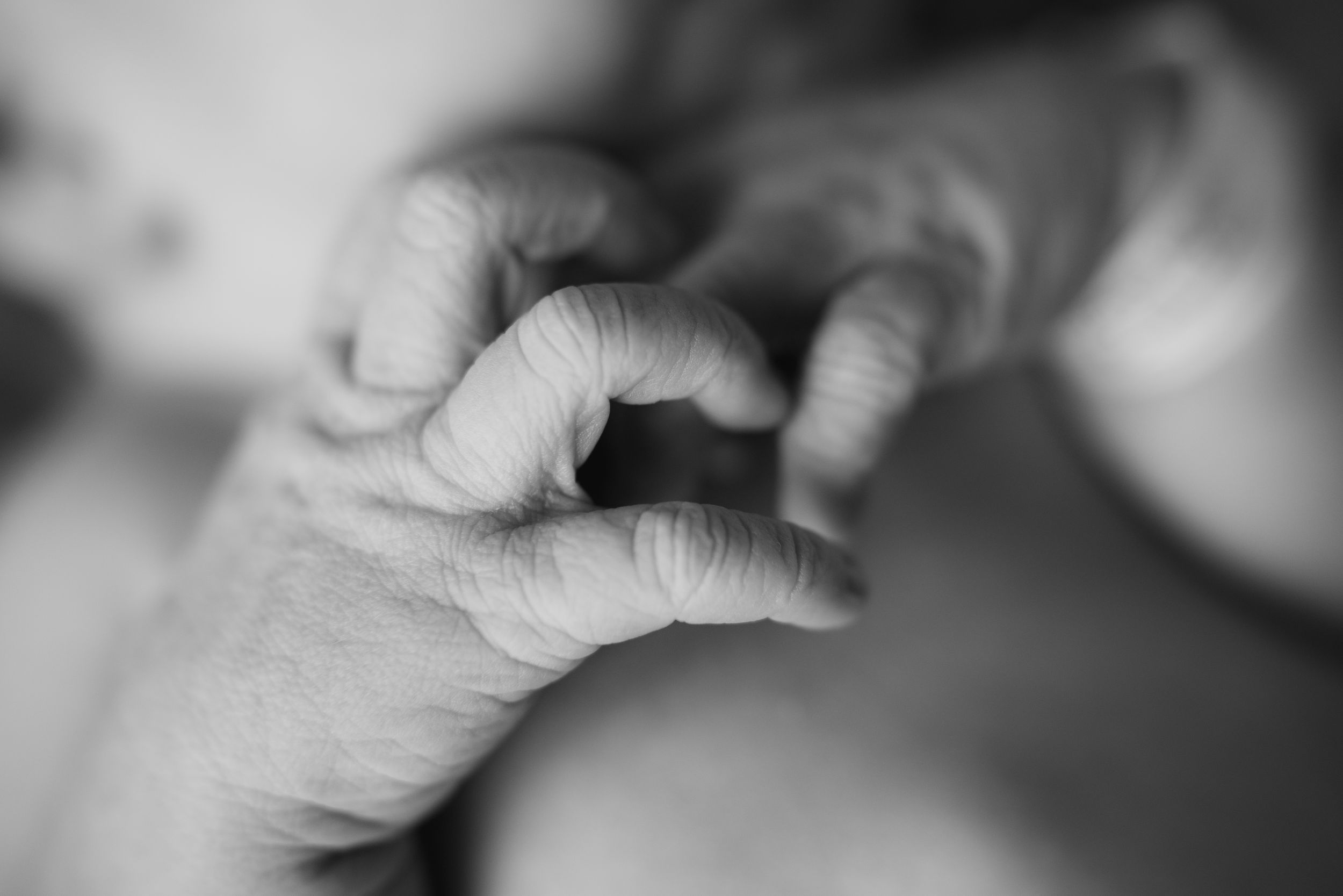 Close-up black and white photo of a newborn baby's tiny hand grasping an adult's finger.