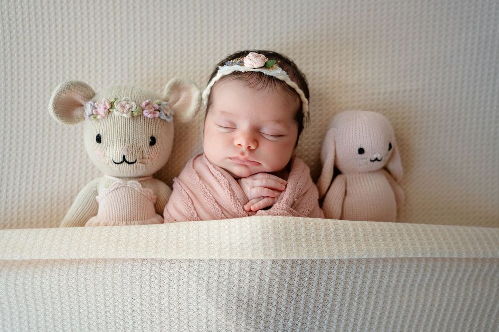 A sleeping newborn in pink swaddle lies between two plush toys, a mouse and bunny, on a cream-colored blanket.