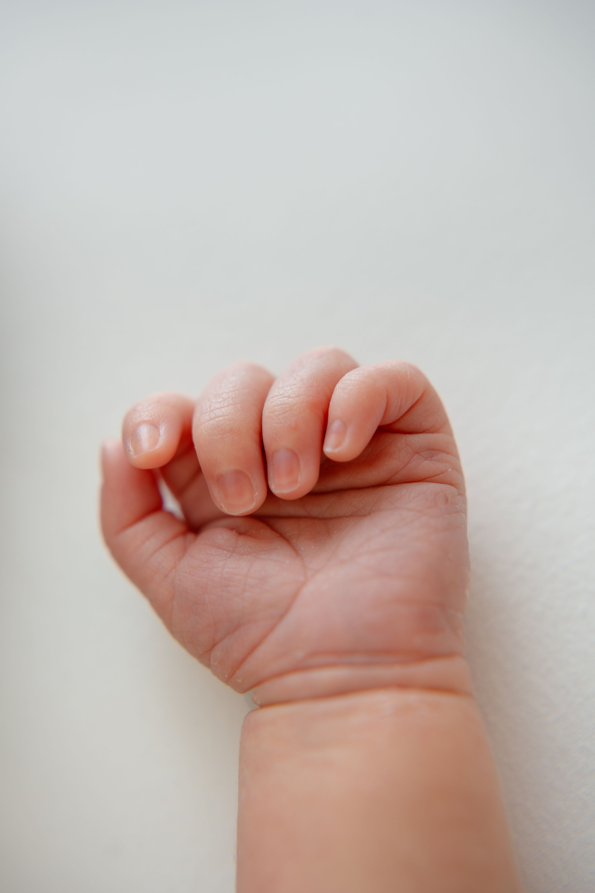 Close-up view of a tiny baby's hand curled into a gentle fist against a white background.
