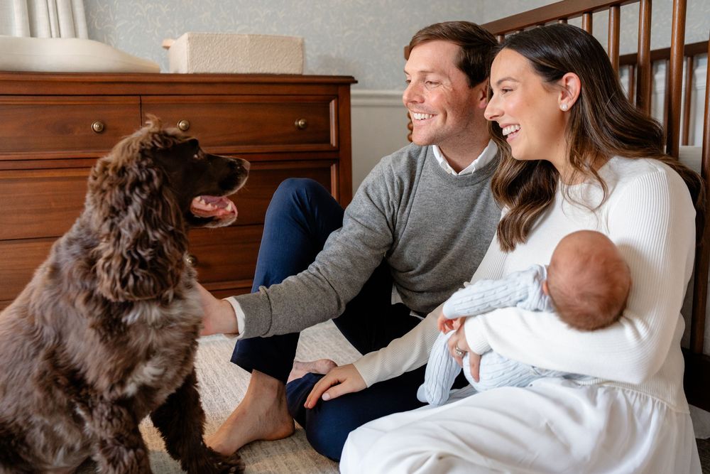 A chocolate Labrador retriever sits on a couch with people in a casual home setting.