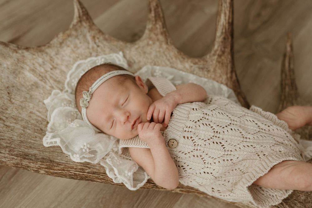 Regina newborn photographer Weyburn newborn photographer Regina newborn photography studio newborn photographer studio moose antler