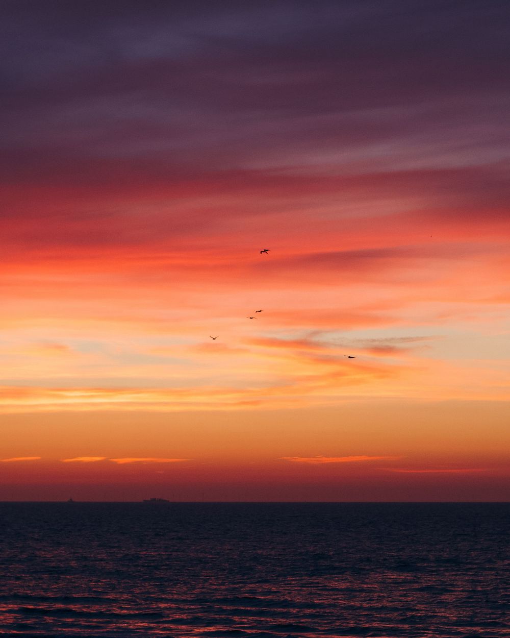 Knokke, Belgium sunset photography