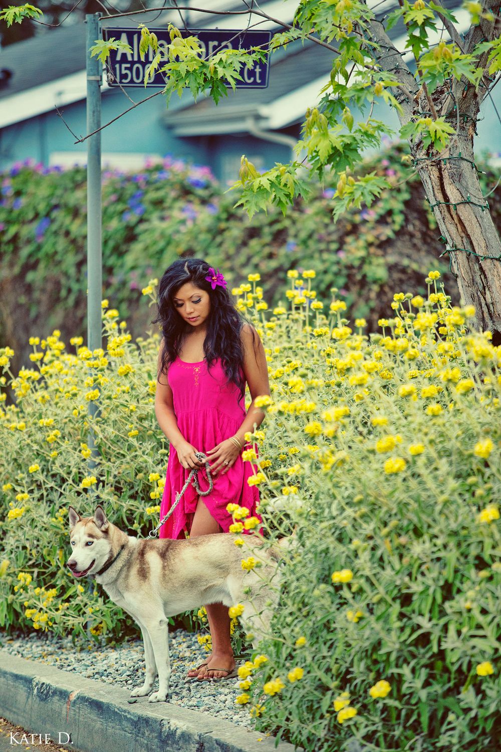 Woman in pink dress stands with a Husky dog among vibrant yellow wildflowers outdoors.