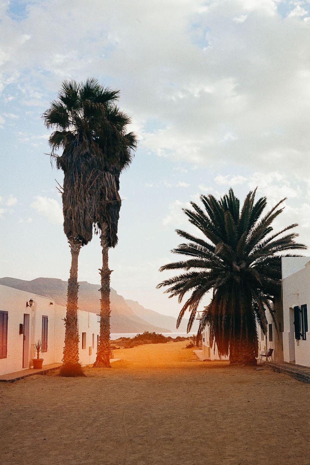 Two tall palm trees stand between white buildings on sandy ground at sunset with mountains in the background.