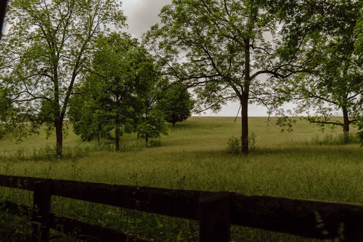Lush green trees and grass field behind a wooden fence on a cloudy day.