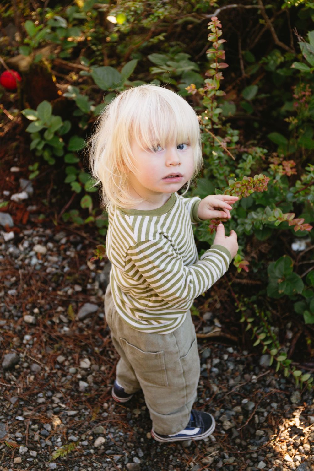A blonde toddler in a striped shirt explores green garden shrubs on a gravel path.