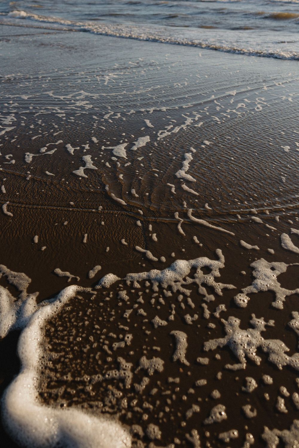 Foamy ocean waves washing over dark wet sand on a beach at golden hour.