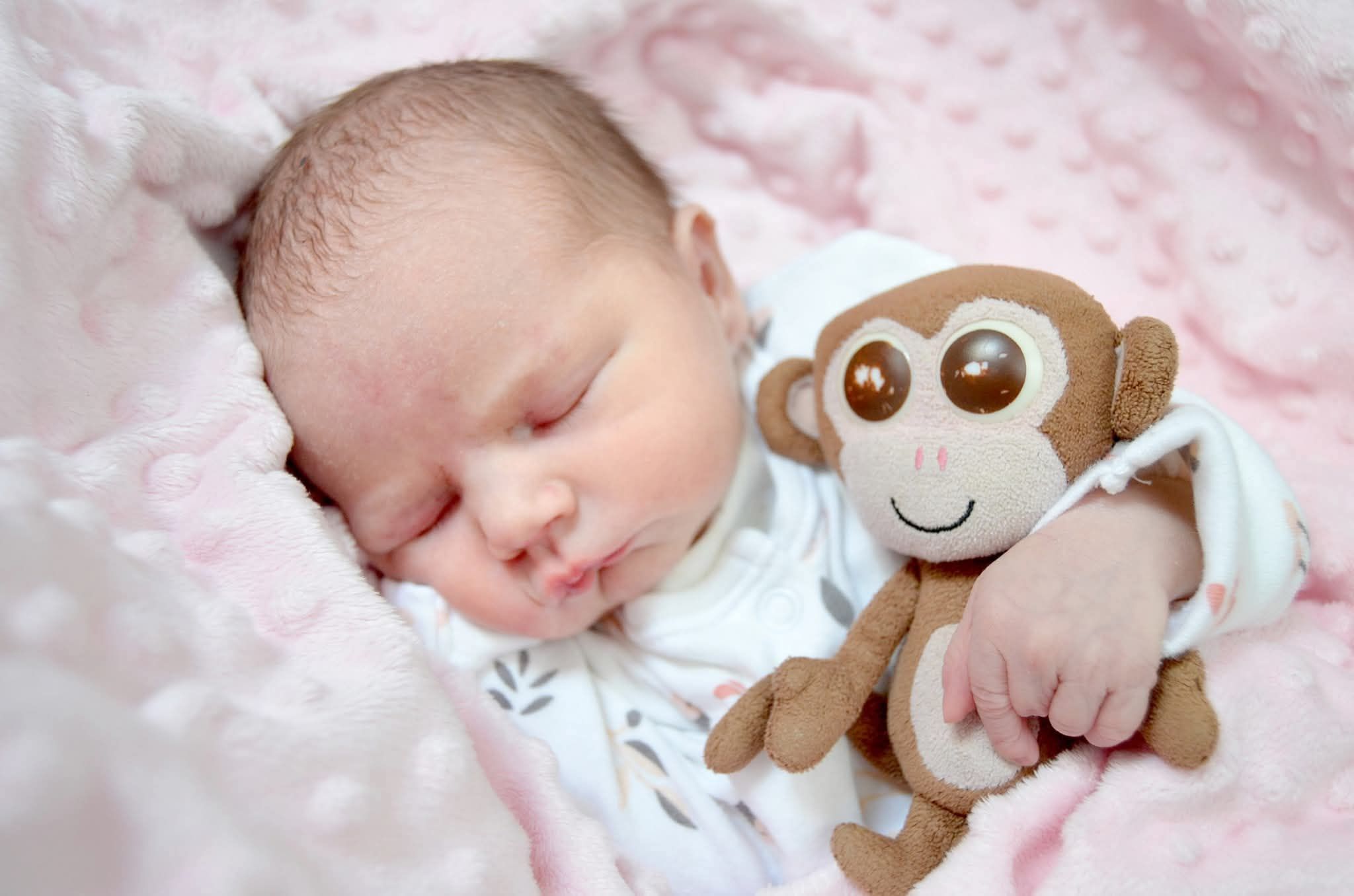 Sleeping newborn baby cuddling a small brown monkey stuffed toy on a pink blanket.