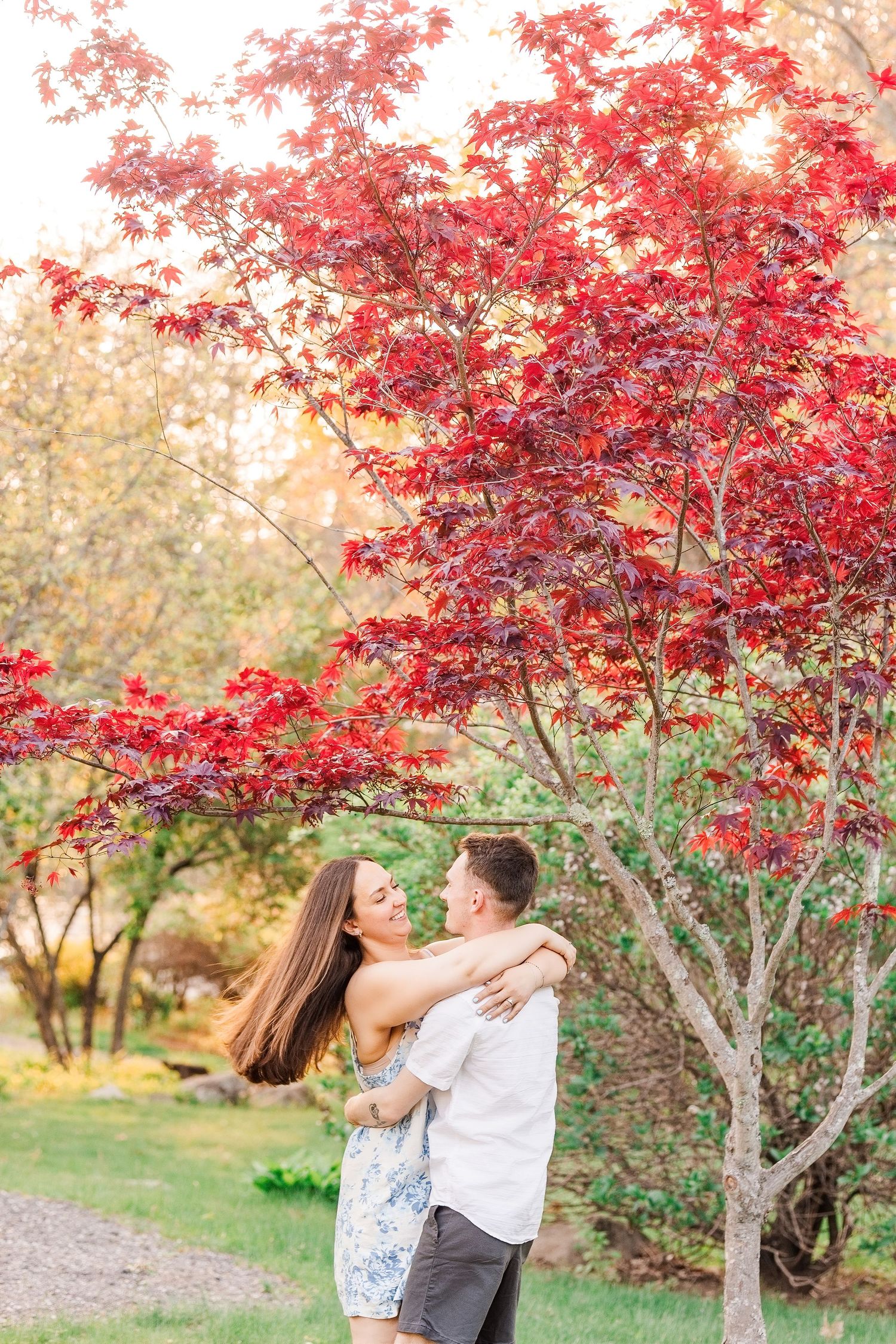 Couple embracing and smiling under a vibrant red Japanese maple tree in a lush green garden during fall.