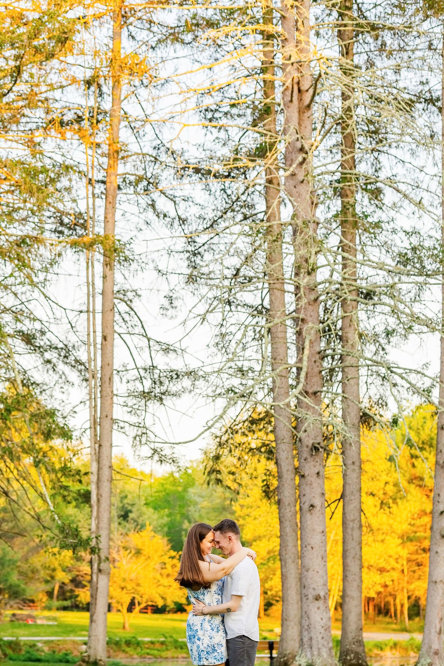 Couple embracing among tall trees with vibrant yellow autumn foliage in a scenic park setting.