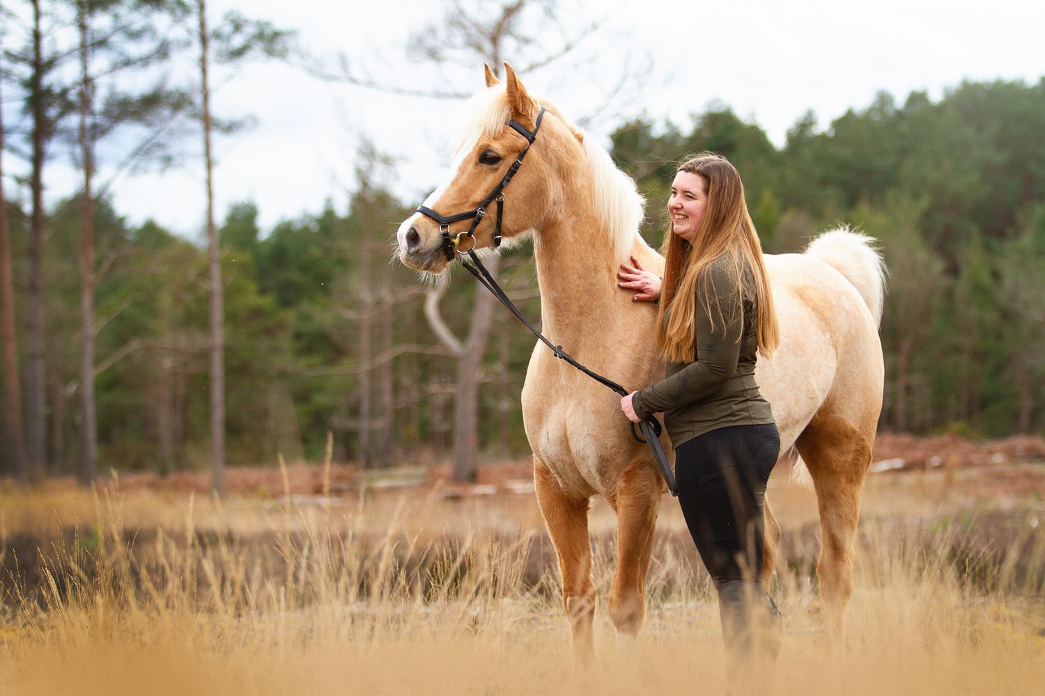 horse photography
