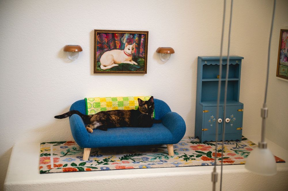 A black cat resting on a blue mini sofa beneath a cat portrait painting, on a floral rug near a teal cabinet.