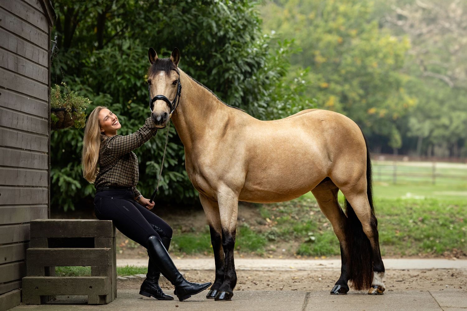 horse photography