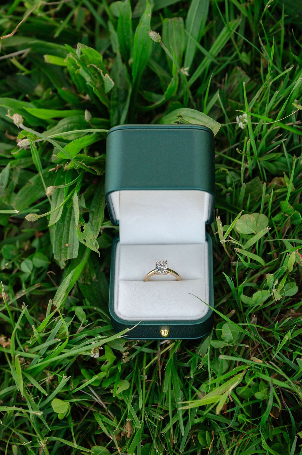 Diamond solitaire engagement ring in green velvet box resting on lush green grass outdoors.