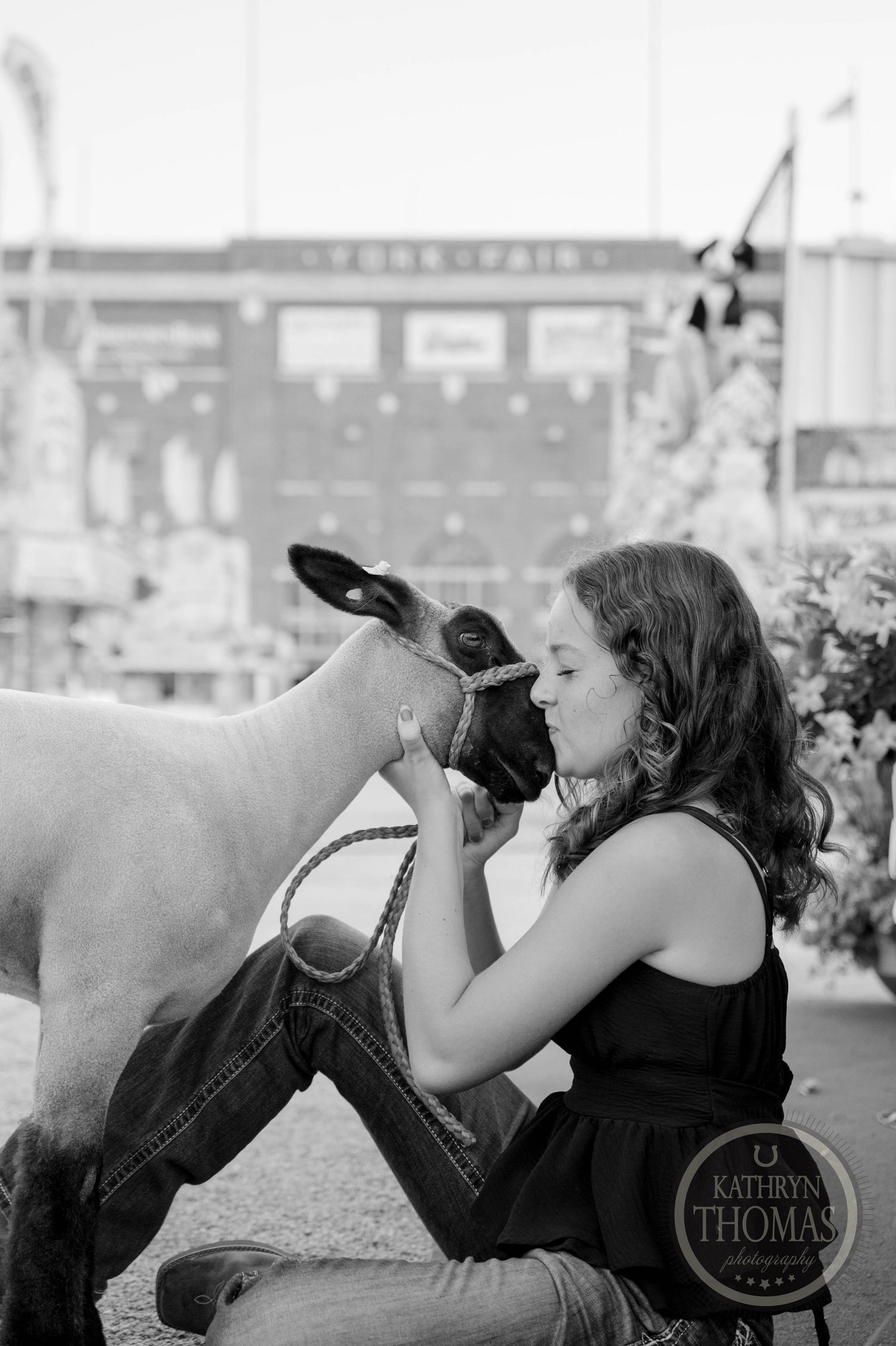 Black and white photo of a young girl kissing a lamb at a county fair livestock show.