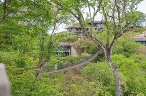 Suspension bridge winds through dense green trees leading to a multi-level lodge.