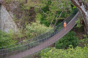Person in orange walks a suspended rope bridge surrounded by lush green forest canopy.