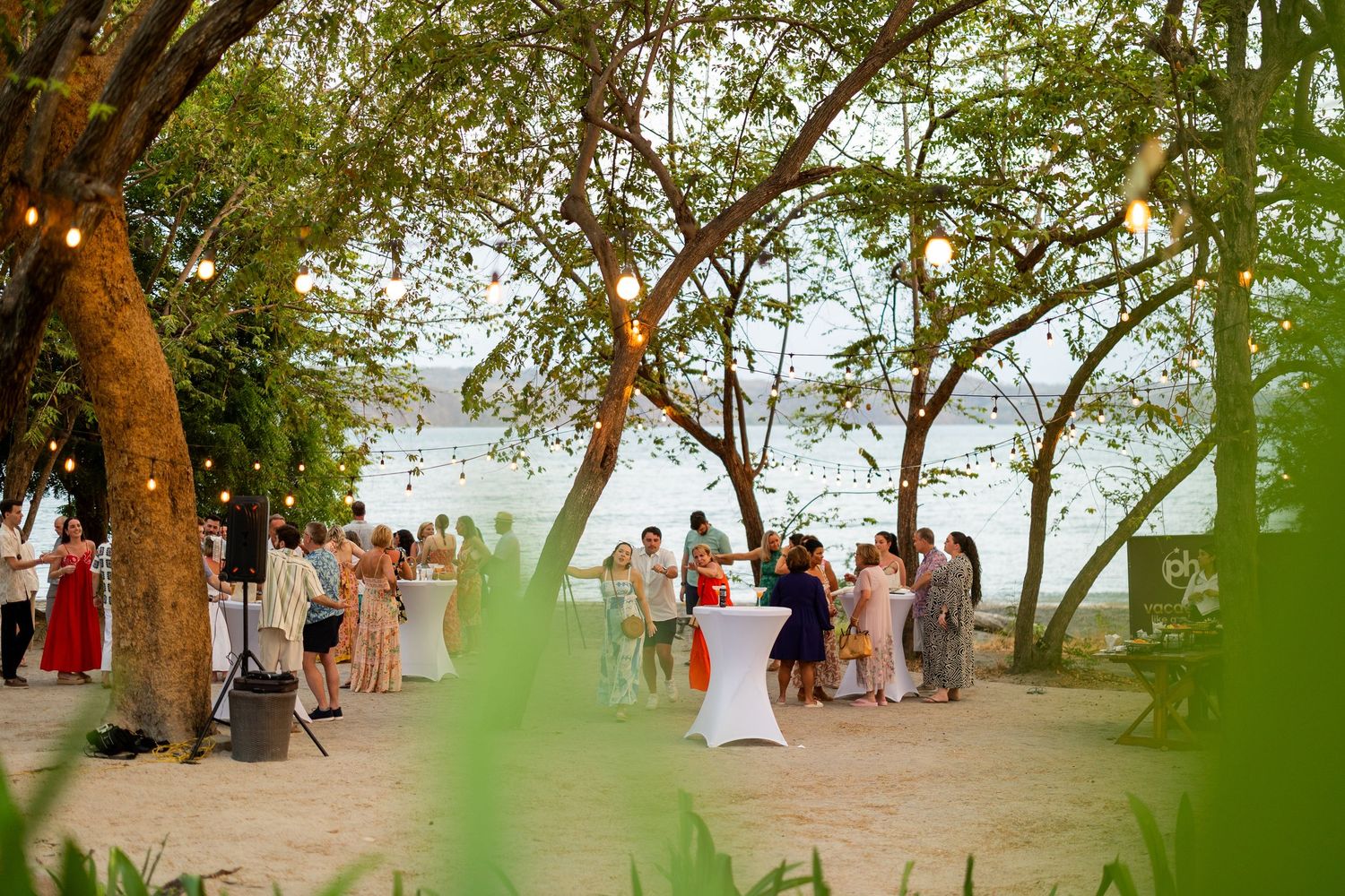 Wedding reception guests gather under trees by waterfront at sunset.