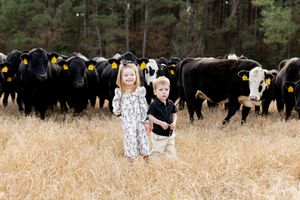 Casual outdoor group photo with buffalo grazing in the background field.