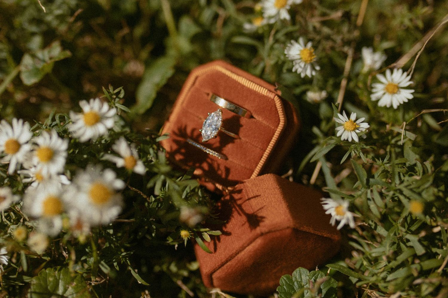 Diamond engagement ring displayed in rust velvet box surrounded by wildflowers and daisies.