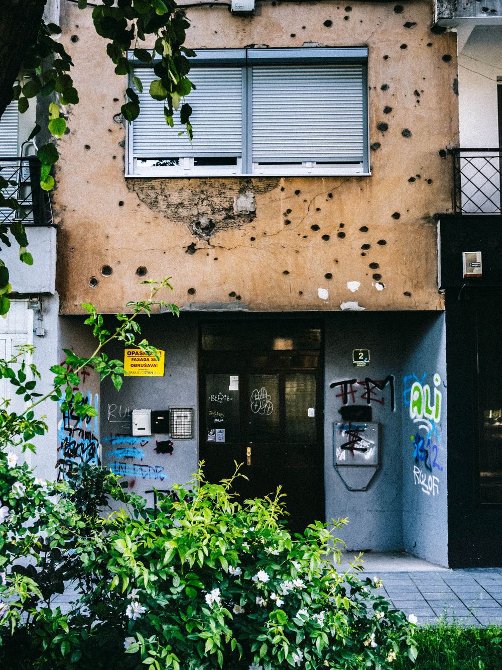 Bullet-riddled building facade with graffiti-covered entrance and lush green plants in foreground.